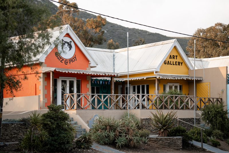 Art Gallery and Catz at Play, Barrydale